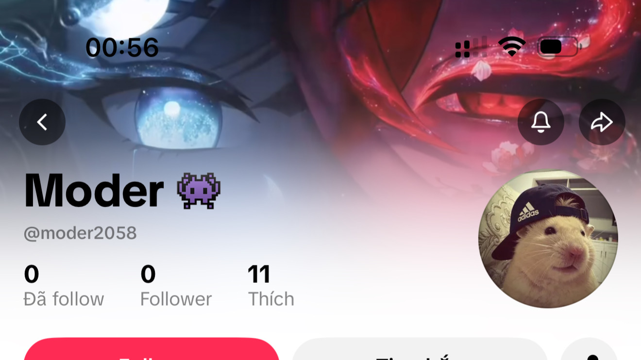 TIKTOK MOD